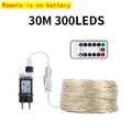 30M 300LEDs