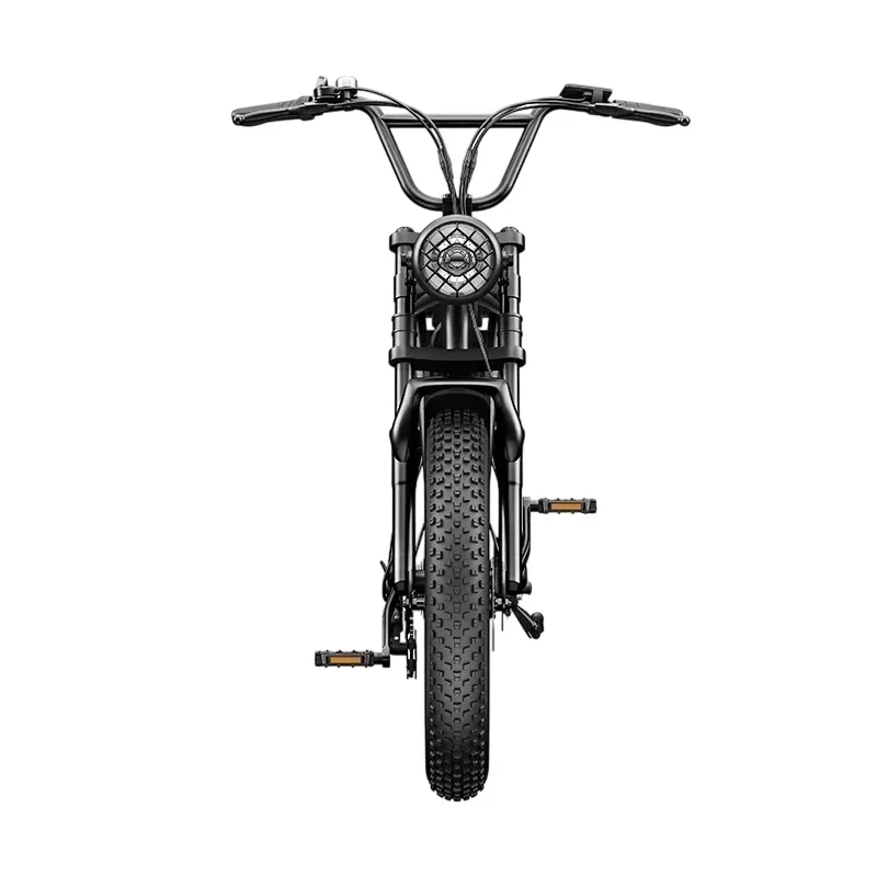 Electric bike C91 powerful 2000w dual motor 48v 20ah lithium battery Electric Bicycle 20 inch fat tire mountain off-road E-bike