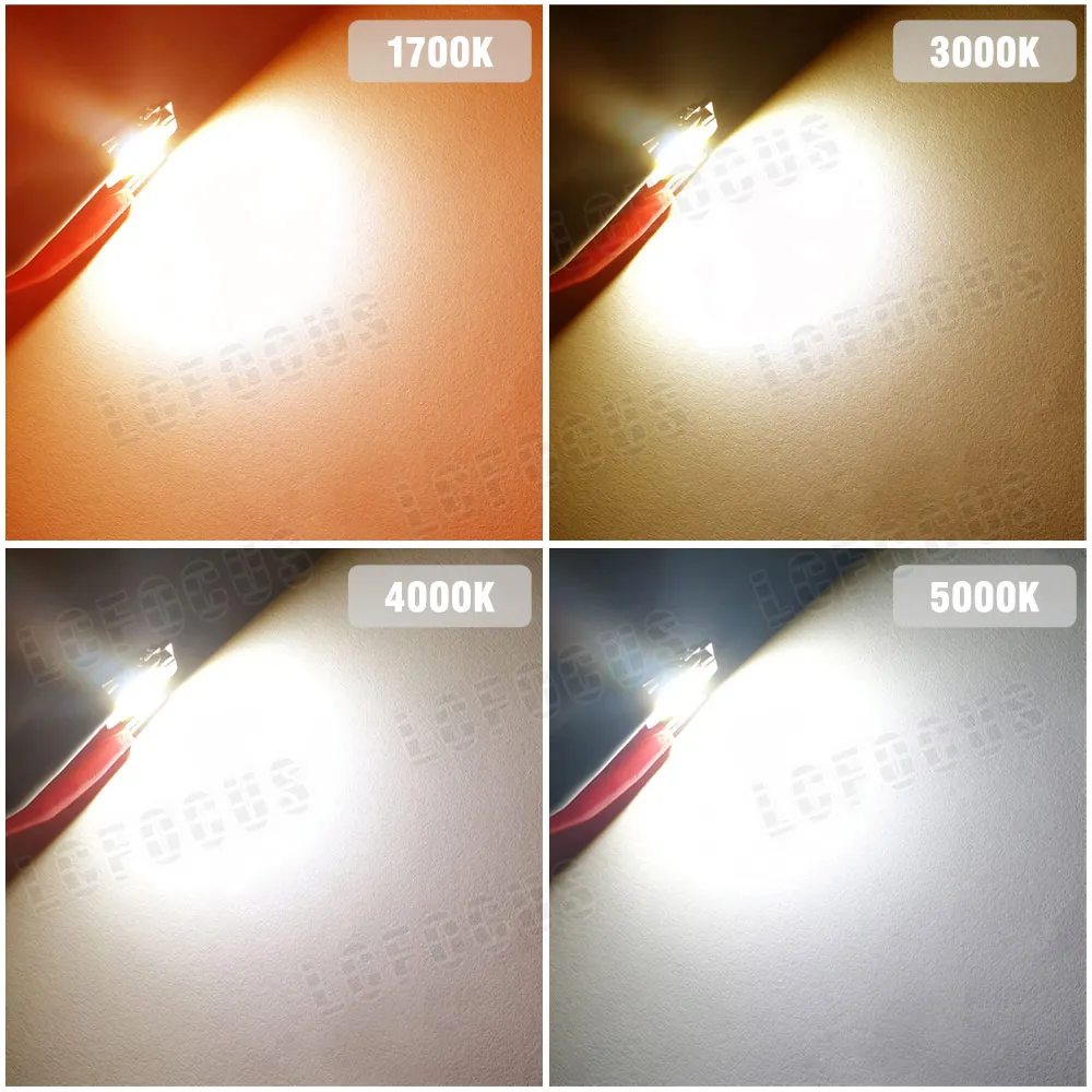 Grow Light 10W-100W Grow COB LED Chip Full Spectrum of Sun 380-840nm for Indoor Hydroponics