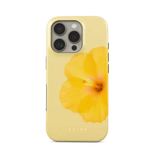 S79022f77a64b4c46a98558a77e0cc323i.jpg — free download