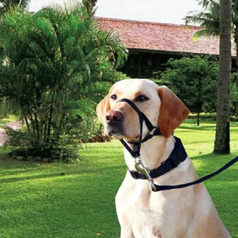 Nylon Dog Muzzle Adjustable Anti-barking Anti-bite Harness Head Collar Halter Training Leash Leader Classic Collar