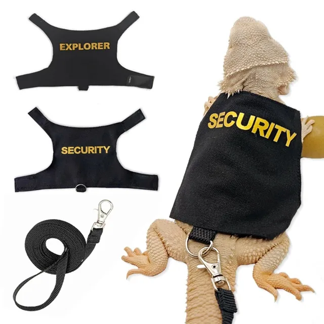 New Reptile Leash Harness Soft Padding Dragon Wings Vest with Hook and Loop for Small Animals Cute Security Clothes 1