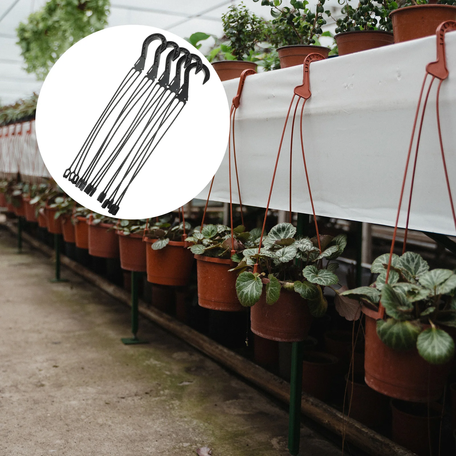 5 Pcs Absorb Water Succulent Flowerpot Hanging Basket Basin Water-absorbing Hook Planter Pots Bird Feeders Plastic Load
