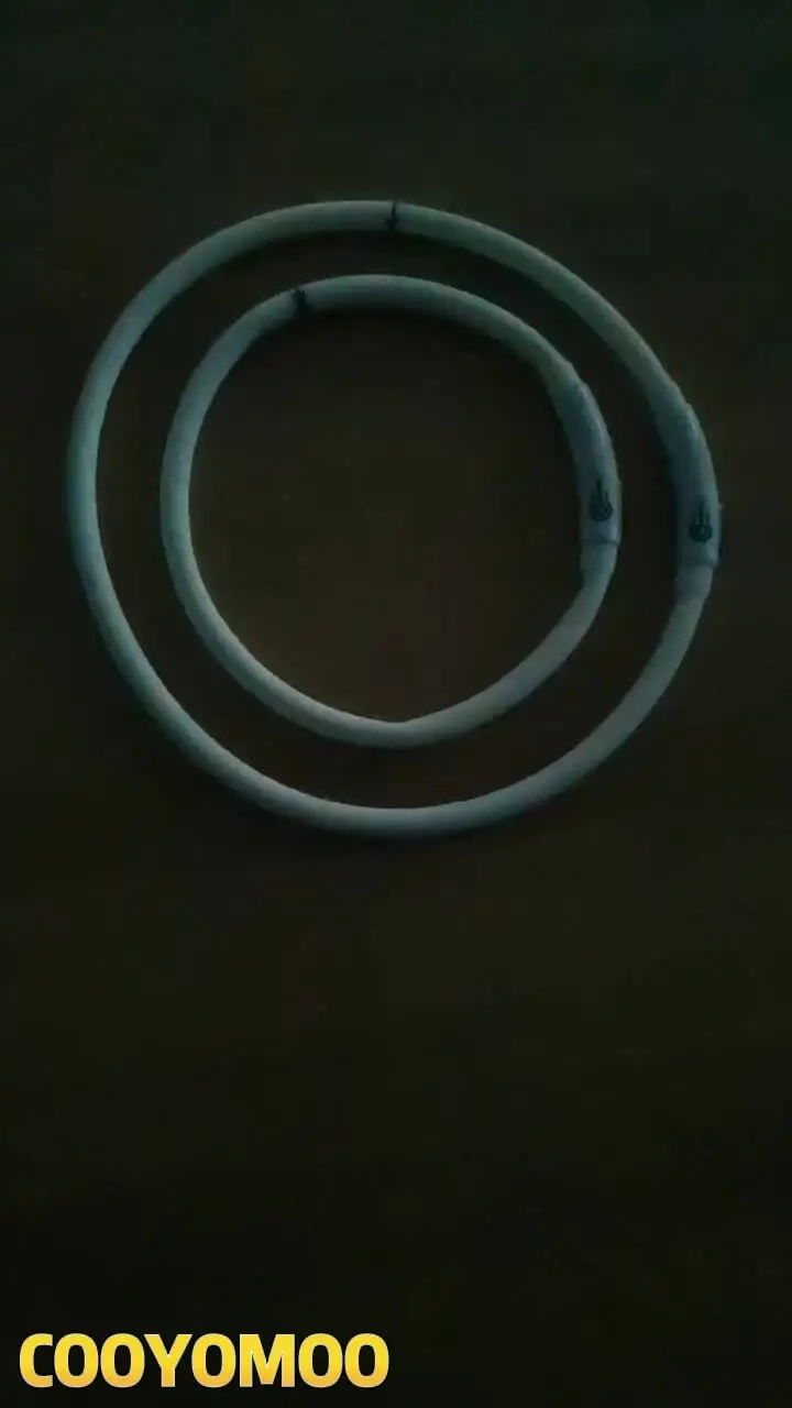 4-modi Hond Luminou Charge Halsband Led USB Kat Siliconen Kleurrijke Halsbanden Knipbaar Nachtgloed Huisdierverliespreventie Hondenaccessoires