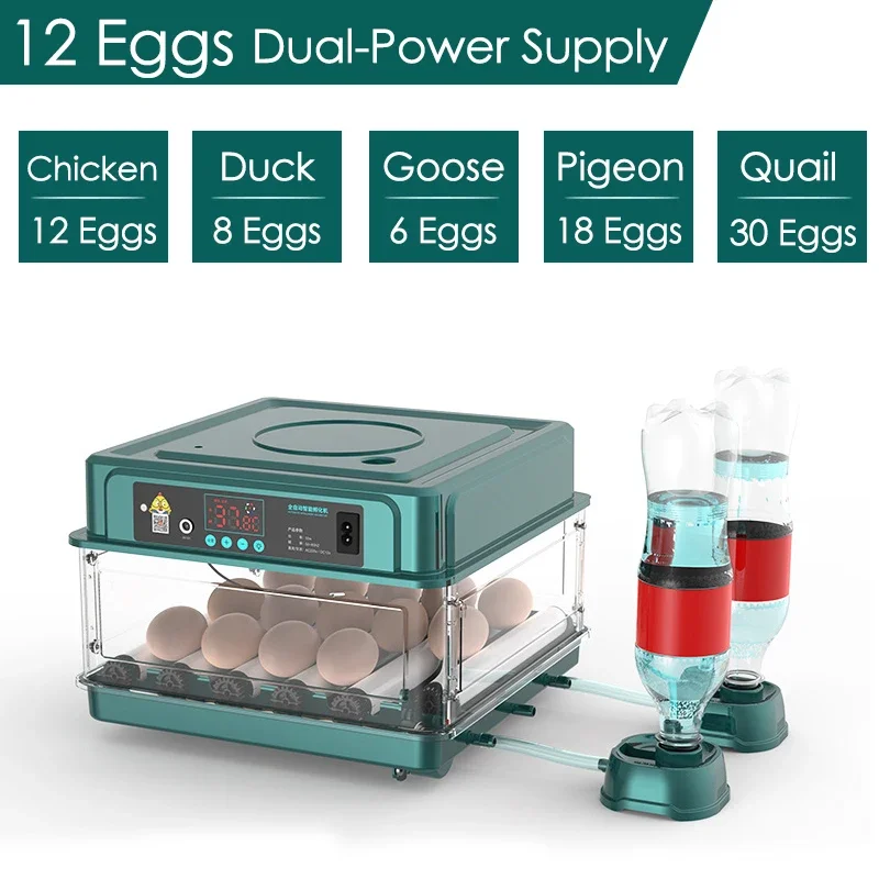 

Goose Tool Hatchery Incubation Turner Poultry 10/12 Equipment For Brooder Automatic Quail Fully Chicken Incubator Eggs Digital