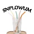 Snplowum Store