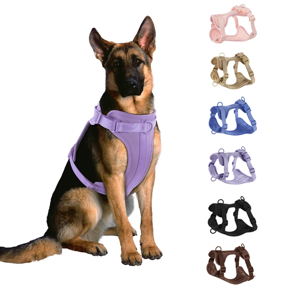 Double Dog Leash PVC Comfortable Dog Harness Adjustable Chest Strap Three-Piece Set Collars-f-Harnesses & Leashes Suit