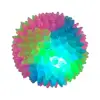 Pet Light Up Toy Ball Glowing LED Puppy Flashing Elastic Ball Toy Color Light TPR Ball Interactive Toys For Cats Small Dogs R0E2 3