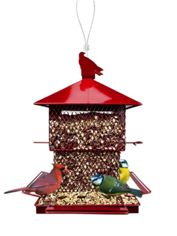 cardinal bird feeder