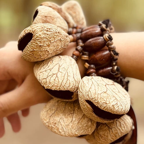 Natural Fruit Shell Bracelet African Drum Rattle Percussion Accompaniment Musical Percussion Instruments Ornaments Hand Bells hand bell