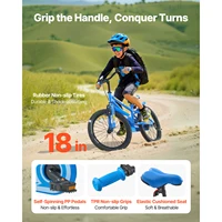 SucceBuy 14/16/18 pouces vélo pour enfants Style BMX vélo pour enfants avec roues d'entraînement vélo pour tout-petits pour garçons et filles apprendre à monter 5
