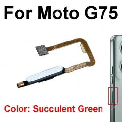 Enhanced Product Title:  
High - Quality Fingerprint Sensor Touch ID Home Button Flex Cable Replacement (G75 Succulent Green)