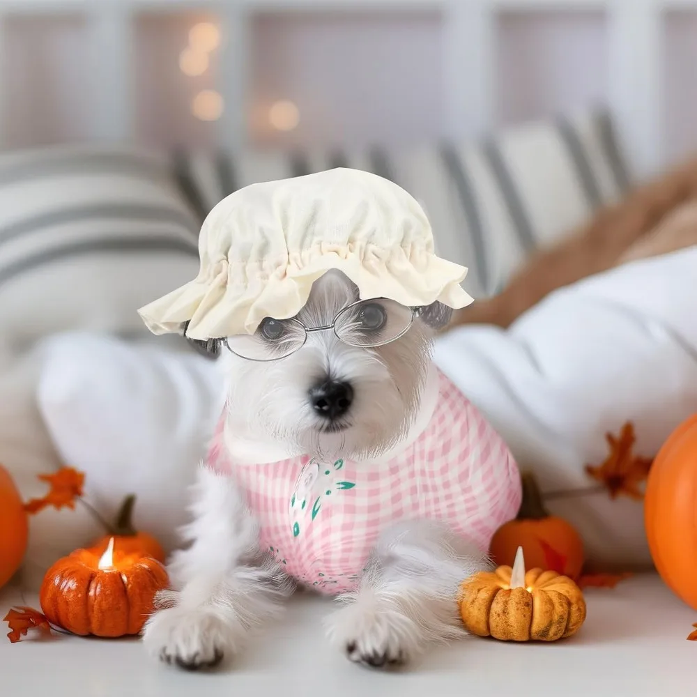 Grandma Dog Costume