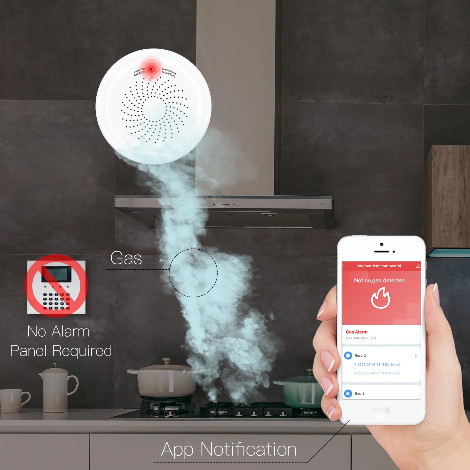 Sensor Combustível, Home Security Alarm System, Vida