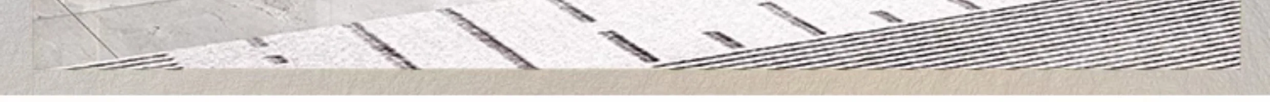 S791bb8b3d63044969604e4547a9e667dr