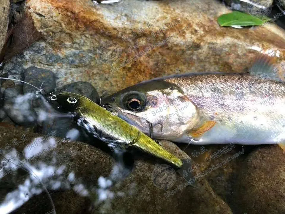 Japan Gan Craft Knuckle Claw 70 Two Fish 4.1G 4.6G Micro-Bait Swimming Bait