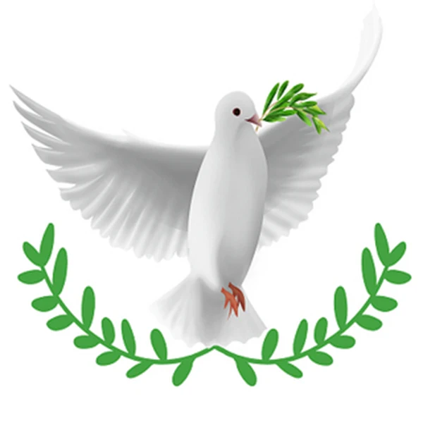 Motherboard phone parts Store