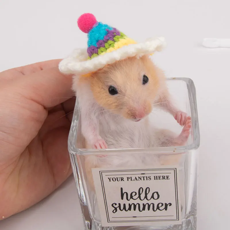 Small Animal Clothes Pet Headgear Handmade Knitted Hat Hamster Cute Headwear