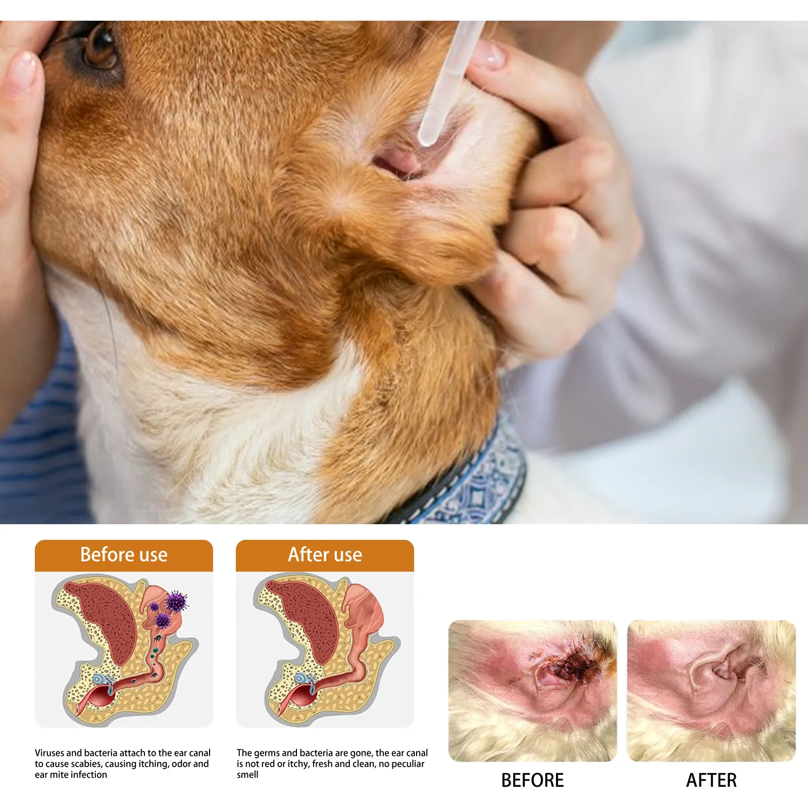 Pet Ear Cleaner with Cotton Swab for Cat and Dog Ear Mite Removal Itching Relief Cleaning Drops Canal Deodorization