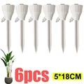White-6pcs