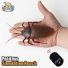Infrared RC Animal Remote Control Animals Insect Cockroach Spider Ant Ladybug Simulation Prank Jokes Dinosaur Toys Kit for Boys 1