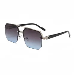 Stylish Retro Aviator Sunglasses with Double Bridge Metal Design and UV400 Protection (C8)