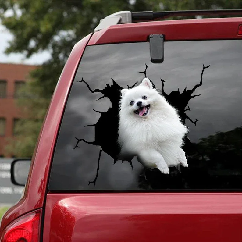 Pomeranian Decal - Fits Cars,Windows,Laptops And Any Smooth Surface, Pomeranian Stickers,Custom Pomeranian Stickers, Custom Dog,