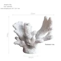 White L