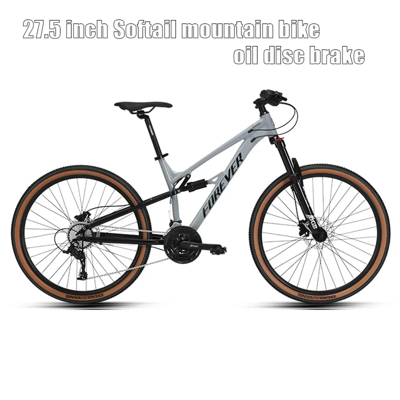 Mountain Bike Mountain Bike