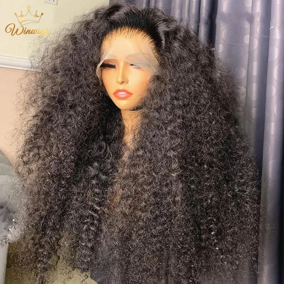 30 Inch Curly 100 Human Hair Wigs 13x4 13x6 Lace Frontal 4x4 Closure Wig Woman Pre Plucked human hair wig,lace front wig,human hair wigs,front lace wig