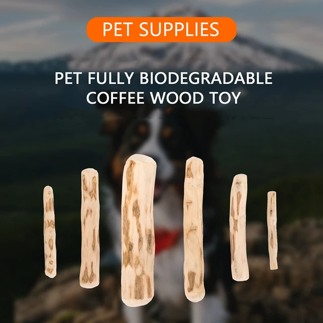 Tige de broyage des dents de chien, jouet à mâcher en bois, café naturel, bâton à croquer, résistant aux morsures, jouet pour soulager l'anxiété, fournitures pour animaux de compagnie 4