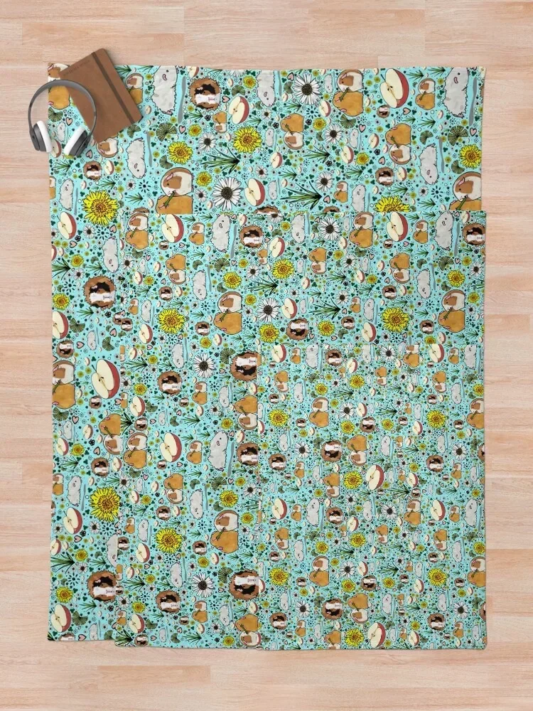 ����Ǳ� ���� ������ ���, ķ�� ����, �ҷ��� ��Ʈ�� �ö��� ���� ���