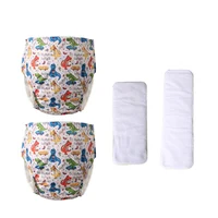 Adult Cloth Diaper Washable Ice Silk Incontinence Pant for Elderly Reusable Adjustable Waterproof Underwear with 2PCS Insert 1
