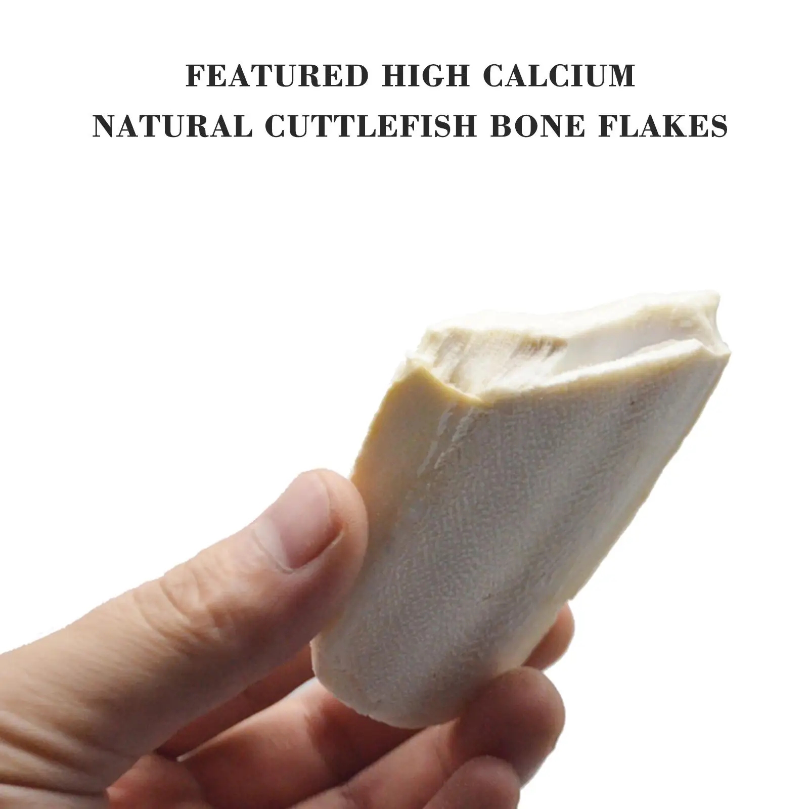 Fishbone Cuttlefish Bone Squid Cuttlefish Birds Eat Stone Calcium E1L8