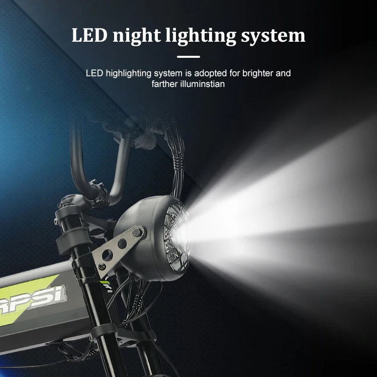 Folding Electric Bike 5
