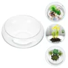 Wide Mouth Glass Vase Flower Pot Hydroponic Planter Desktop Flowerpot Round Aquarium Bowl Succulent Planter Bonsai 5