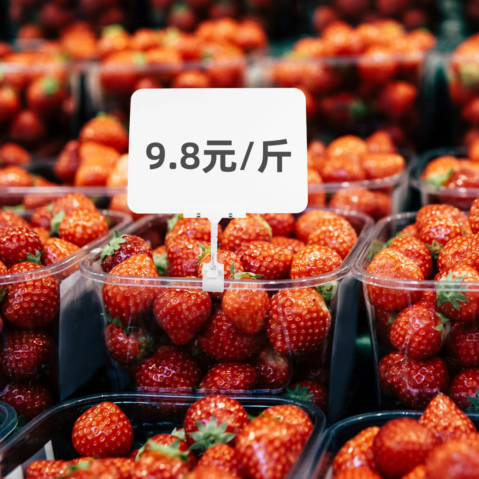 슈퍼마켓 가격표 홀더 지울 수 있는 선반 클립 표시대 A4 사이즈 화이트보드 소매점 메뉴 이름표 가격표시용