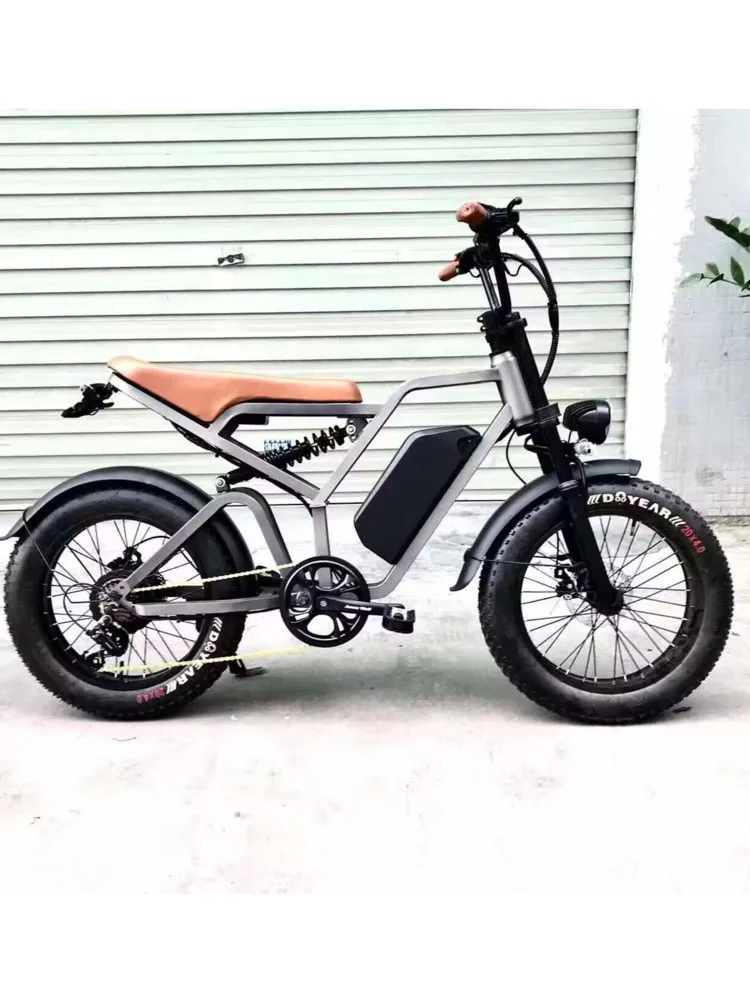 750 W to 1000 W 48 v 10.4 ah electric Bike Mountain Bike full suspension dual motor bicycle