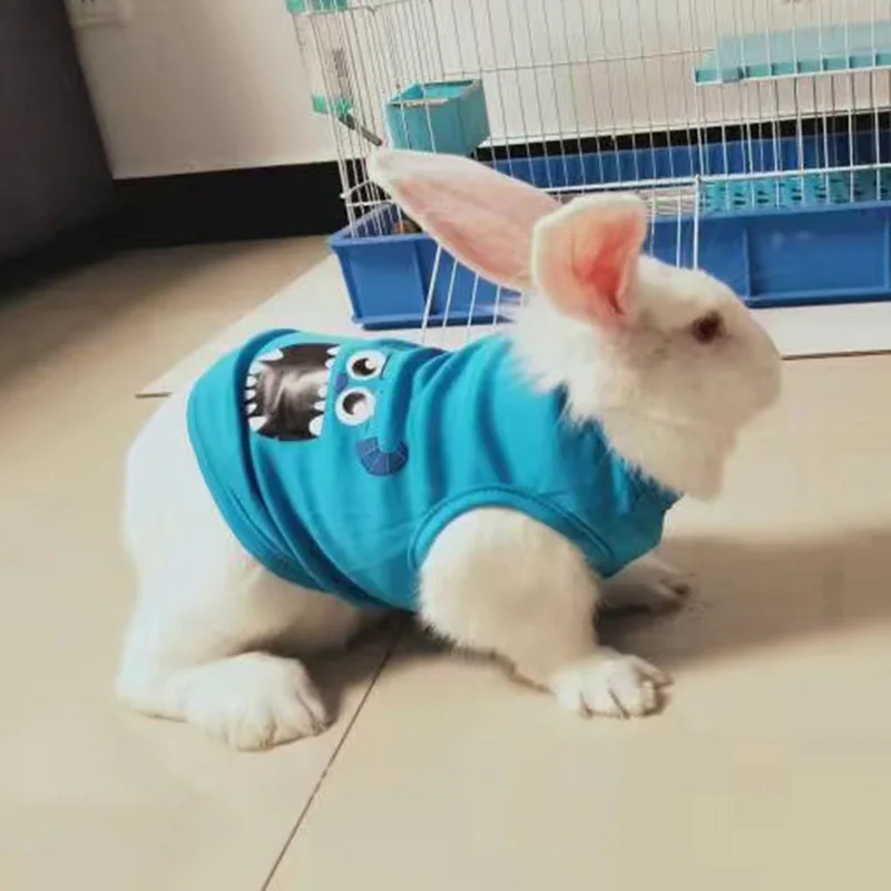 Pet clothes Summer Rabbit Cat Clothes Cute Cartoon Pet Vest for Cats Rabbits Bunny Clothing Kitten Sphynx Pullover Outfit ropa para gatos