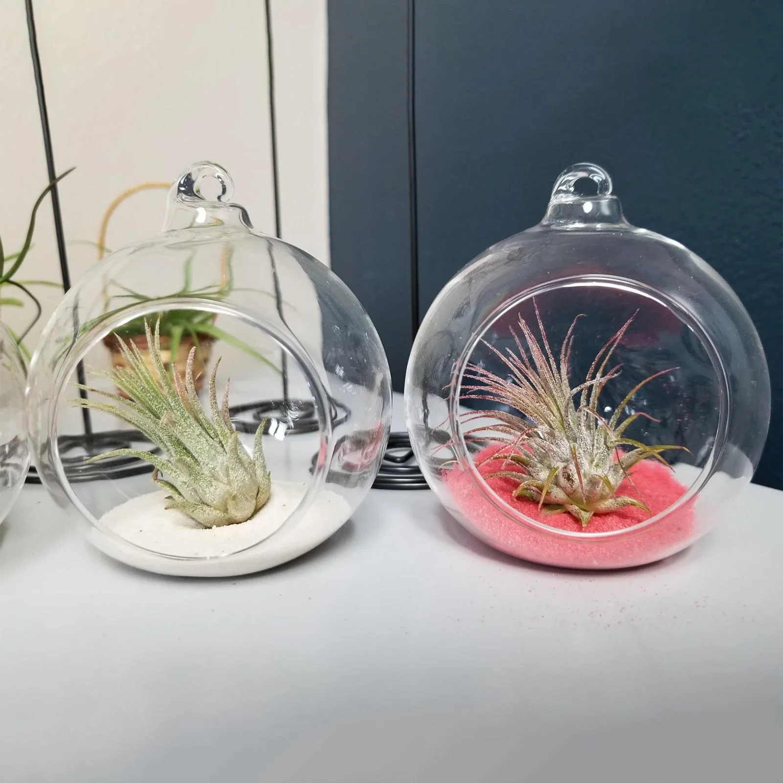 Glass Ball Terrarium Container Plant Terrariums Flower Hanging Planter Clear Wedding Decor Single Candle Holders