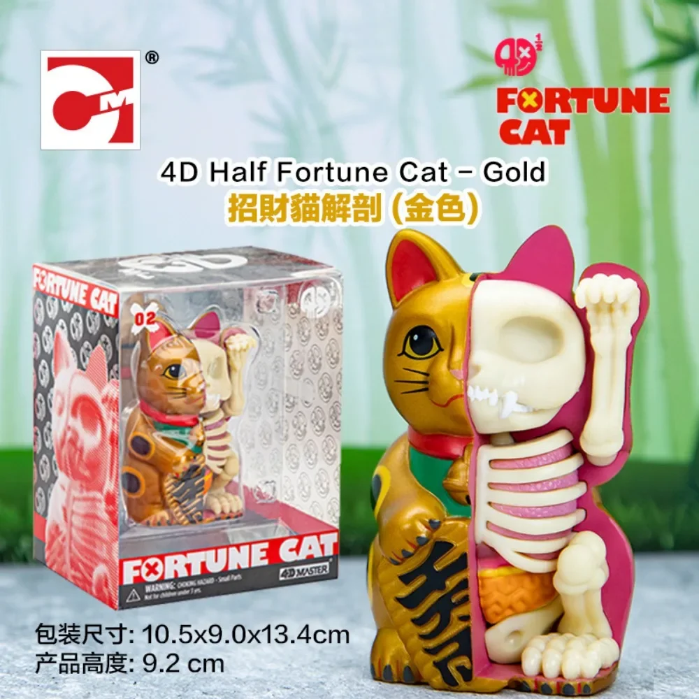 4D Master Half Skeleton Anatomy Lucky Cat Three Colors Trendy Art