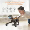 Remote Control Dinosaur Toys Kids RC Electric Walking Jurassic Dinosaur Simulation Velociraptor Toy With LED Light And Roaring 4