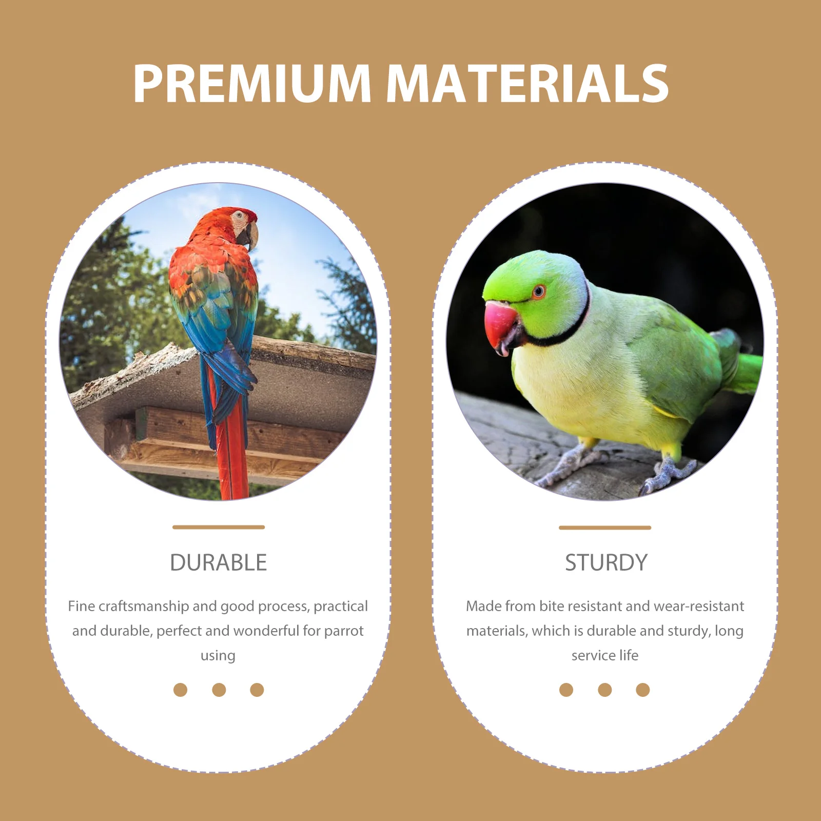 Rutin Chicken Feeder Food Container Bowl Automatic The Bird's Nest Pet Feeding Case Acrylic Clear