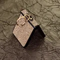 Champagne Color