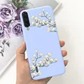 Case-c13