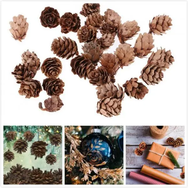 Natural Pine Cones DIY Bulk Mini Ornaments for Christmas Decorations Vase Filler and Table Accents Natural Pine Cones DIY Bulk Mini Ornaments for Christmas Decorations Vase Filler and Table Accents