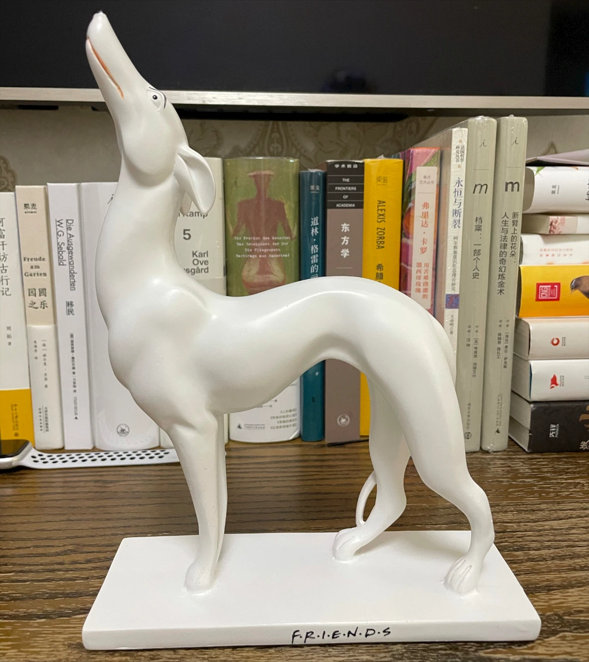 Joey' Big White Dog from Friends TV Show