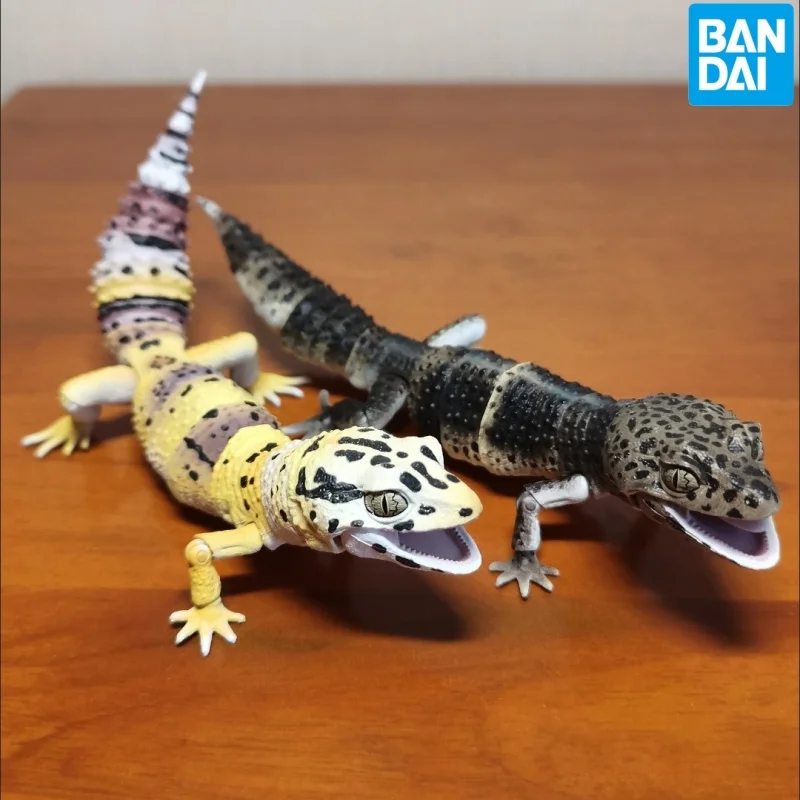 New Original Bandai Gashapon Big Biological Map Big Gecko