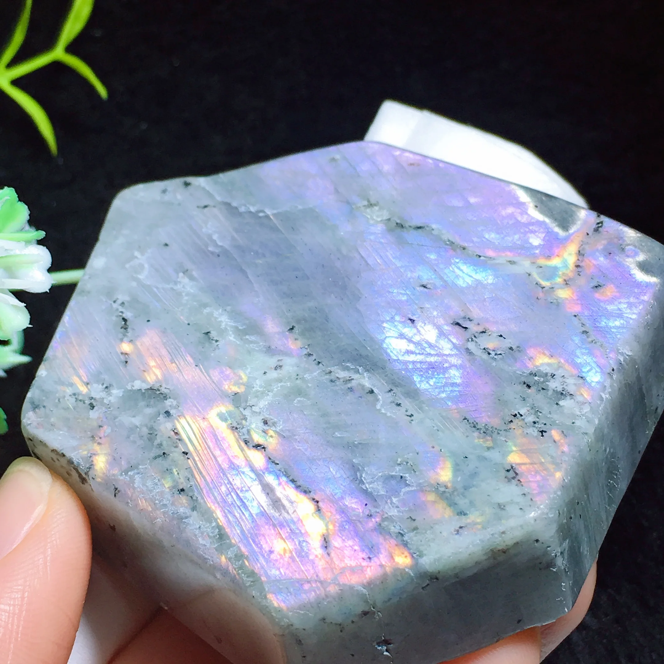 Labradorite Freedom 2430