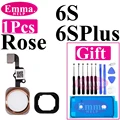 6S 6SPlus Rose